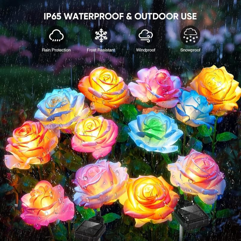 Colored rose garden lights